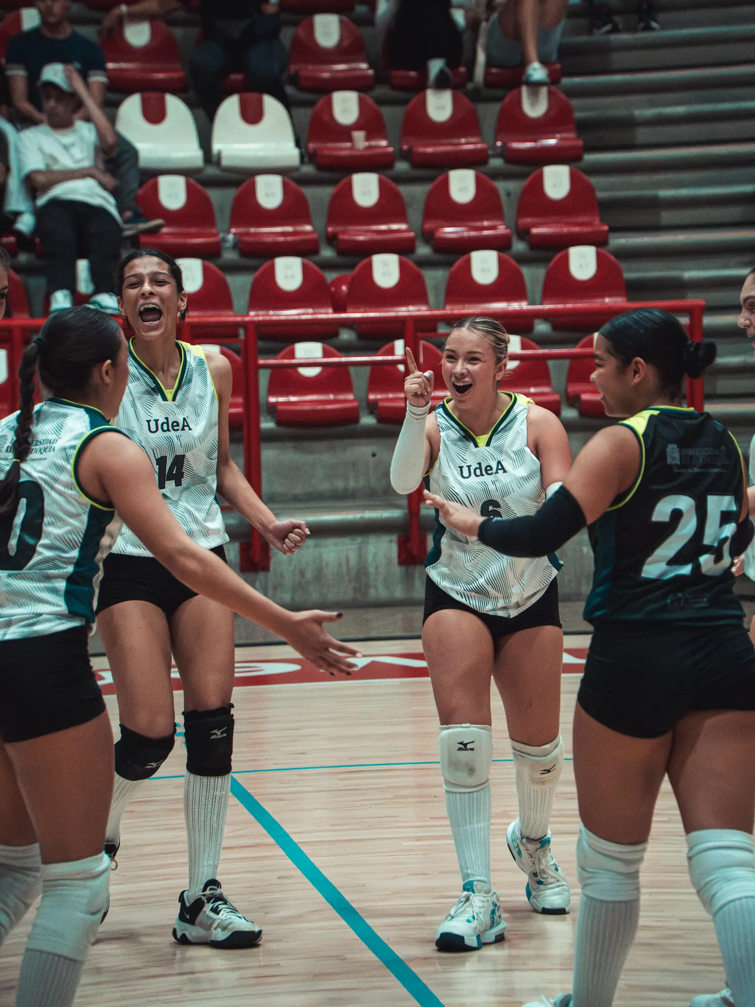 Fotografía y transmisión de voleibol - Cicklo